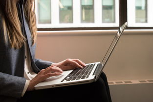 接入 椅子 连接 手 室内 互联网 键盘 笔记本电脑 个人 远程工作 房间 座位 技术 打字 无线 女人 工作